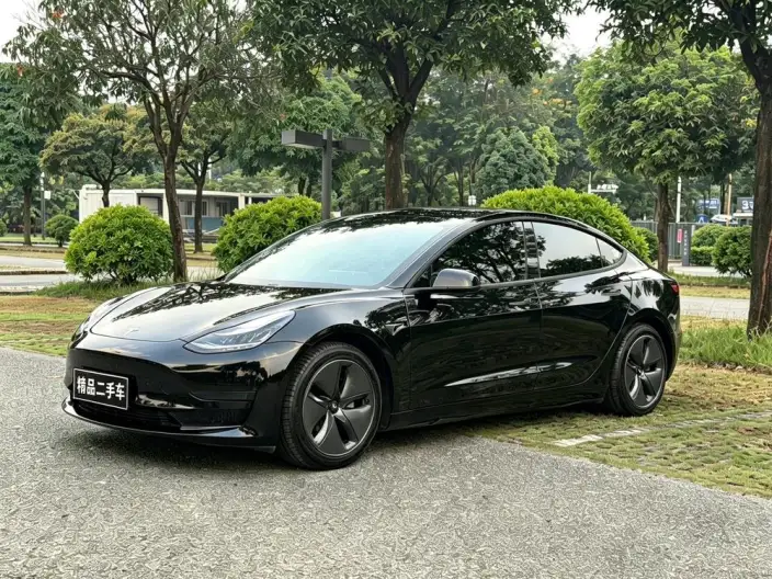 Model 3 2020 Model Facelift Standard Battery Life Rear Drive L Class Edition – фото 1