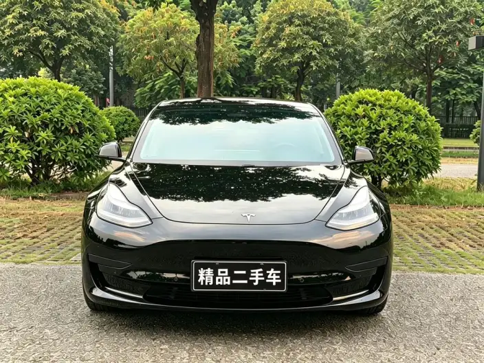 Model 3 2020 Model Facelift Standard Battery Life Rear Drive L Class Edition – фото 2