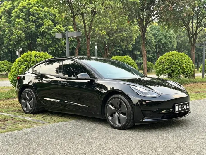 Model 3 2020 Model Facelift Standard Battery Life Rear Drive L Class Edition – фото 3