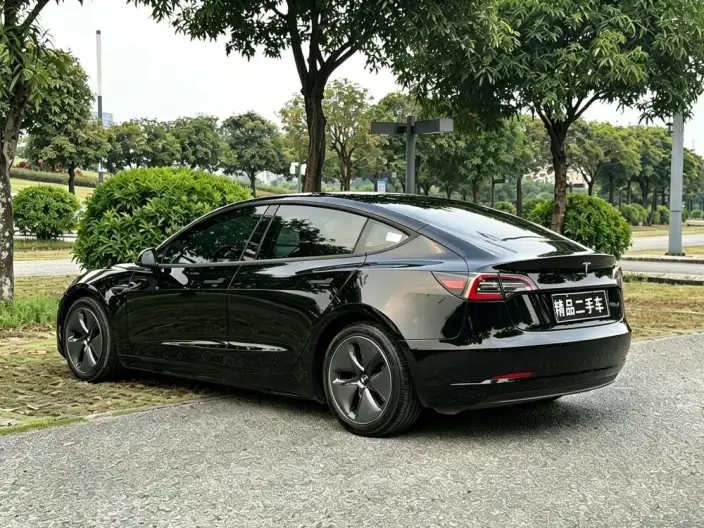 Model 3 2020 Model Facelift Standard Battery Life Rear Drive L Class Edition – фото 4