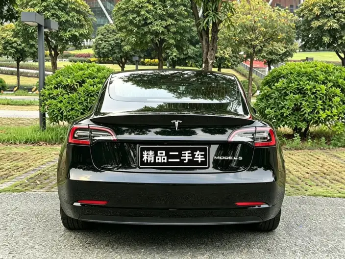 Model 3 2020 Model Facelift Standard Battery Life Rear Drive L Class Edition – фото 5