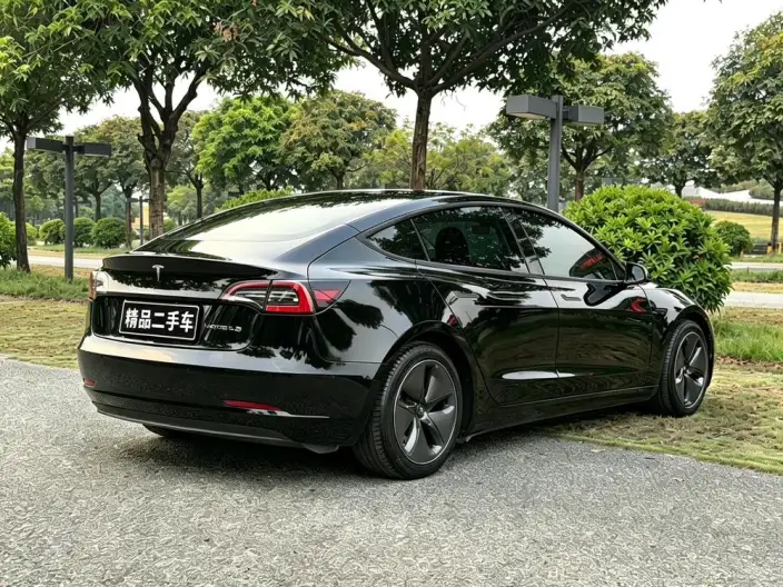 Model 3 2020 Model Facelift Standard Battery Life Rear Drive L Class Edition – фото 6