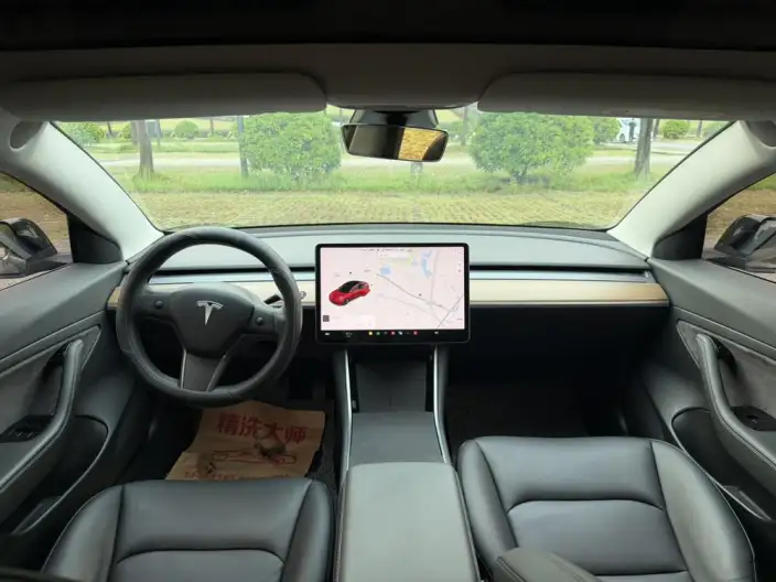 Model 3 2020 Model Facelift Standard Battery Life Rear Drive L Class Edition – фото 7