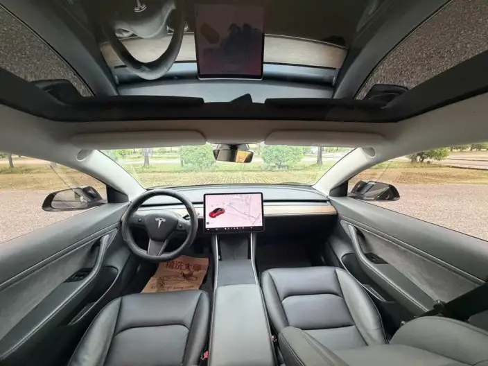 Model 3 2020 Model Facelift Standard Battery Life Rear Drive L Class Edition – фото 9