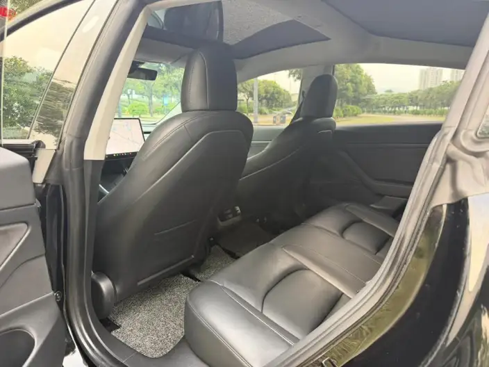 Model 3 2020 Model Facelift Standard Battery Life Rear Drive L Class Edition – фото 11