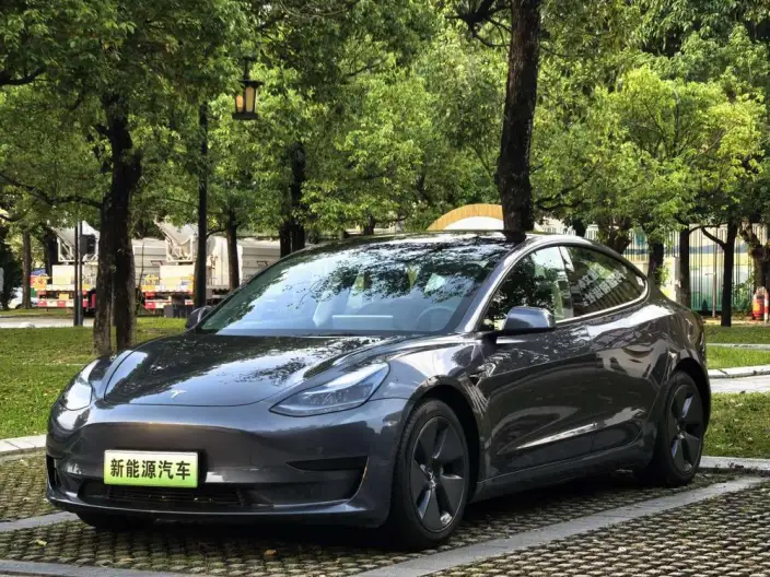 Model 3 2021 Model Standard Battery Life Rear Drive L Class Edition – фото 1