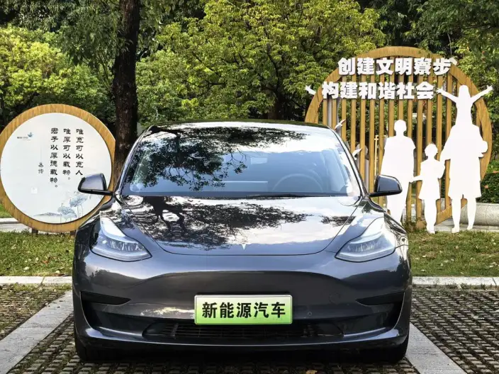 Model 3 2021 Model Standard Battery Life Rear Drive L Class Edition – фото 2