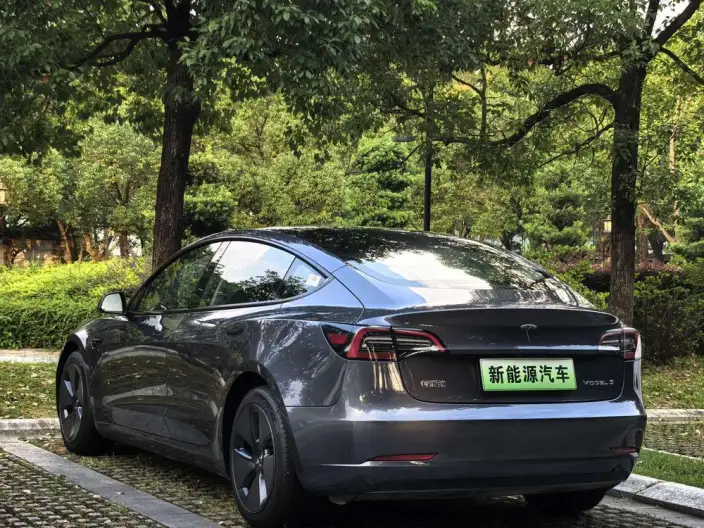 Model 3 2021 Model Standard Battery Life Rear Drive L Class Edition – фото 3