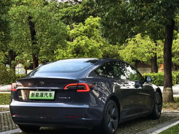 Model 3 2021 Model Standard Battery Life Rear Drive L Class Edition – фото 5