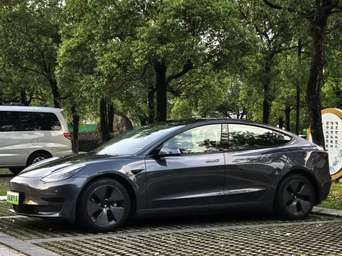 Model 3 2021 Model Standard Battery Life Rear Drive L Class Edition – фото 6