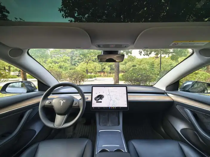 Model 3 2021 Model Standard Battery Life Rear Drive L Class Edition – фото 7