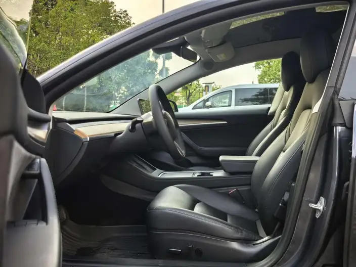 Model 3 2021 Model Standard Battery Life Rear Drive L Class Edition – фото 8