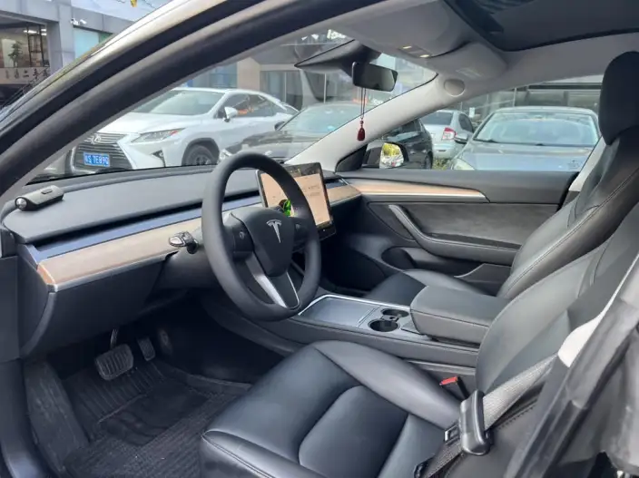 Model 3 2022 Model Rear-wheel drive version – фото 8