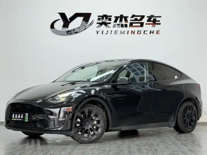 Model Y 2021 Model Long Battery Life Pro All-wheel drive version – фото 1