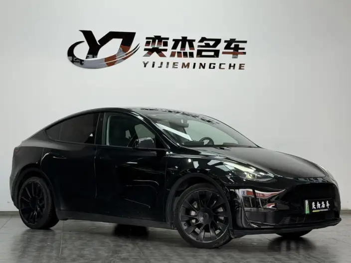 Model Y 2021 Model Long Battery Life Pro All-wheel drive version – фото 3