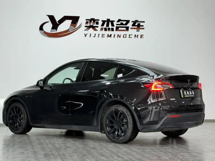 Model Y 2021 Model Long Battery Life Pro All-wheel drive version – фото 4