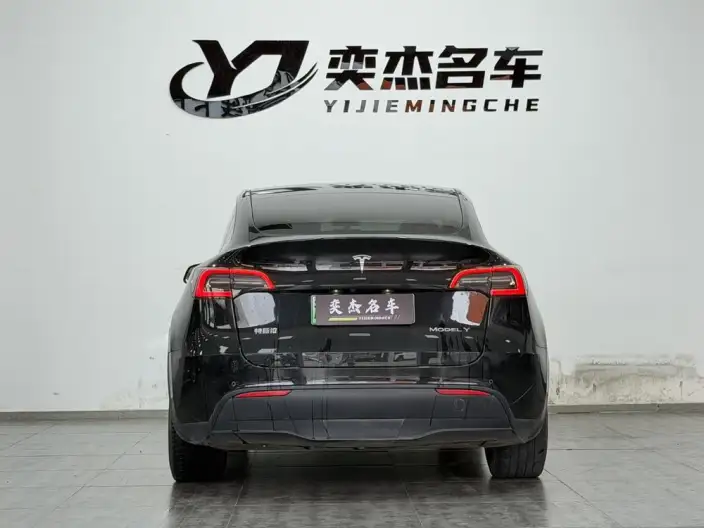Model Y 2021 Model Long Battery Life Pro All-wheel drive version – фото 5