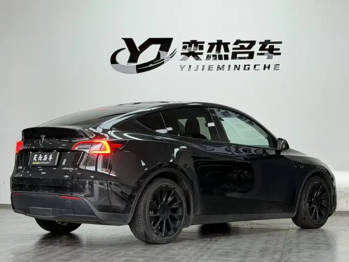 Model Y 2021 Model Long Battery Life Pro All-wheel drive version – фото 6