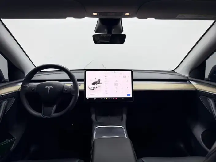 Model Y 2021 Model Long Battery Life Pro All-wheel drive version – фото 11