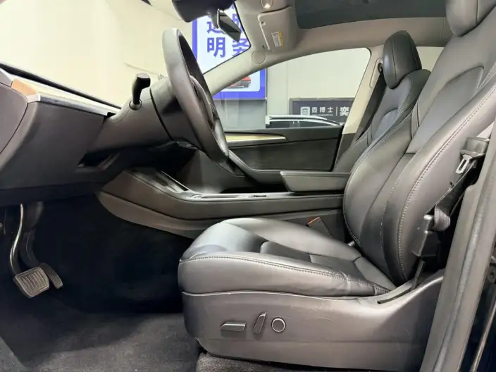 Model Y 2021 Model Long Battery Life Pro All-wheel drive version – фото 15