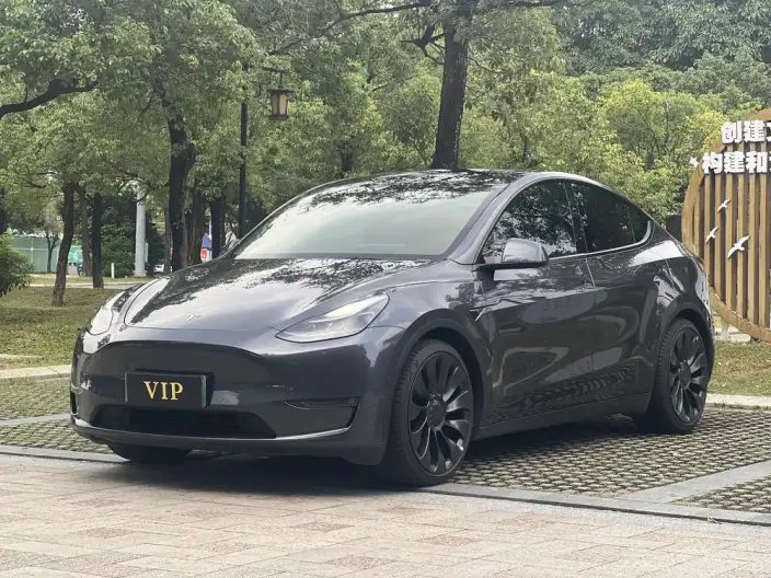 Model Y 2022 Model Performance High performance All-wheel drive version – фото 1