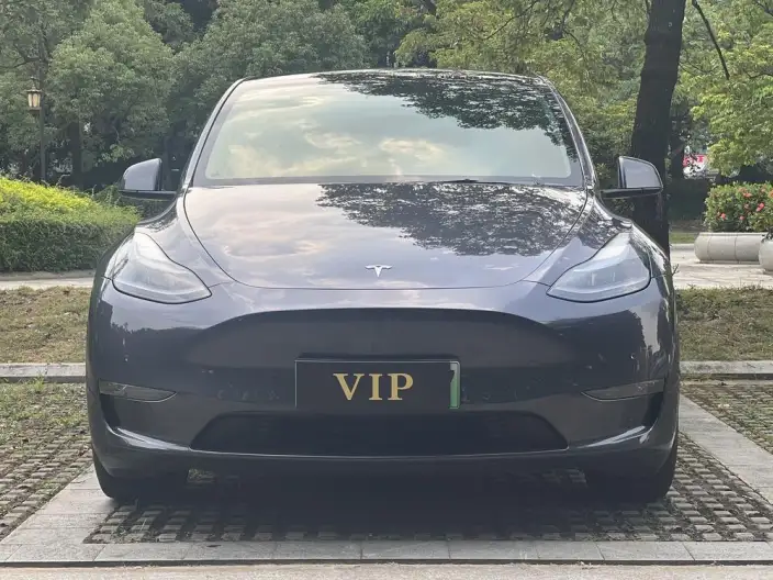 Model Y 2022 Model Performance High performance All-wheel drive version – фото 2
