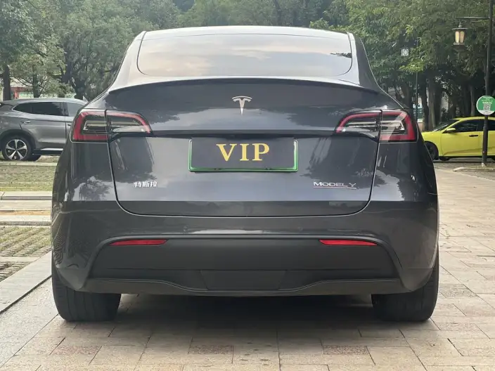 Model Y 2022 Model Performance High performance All-wheel drive version – фото 6