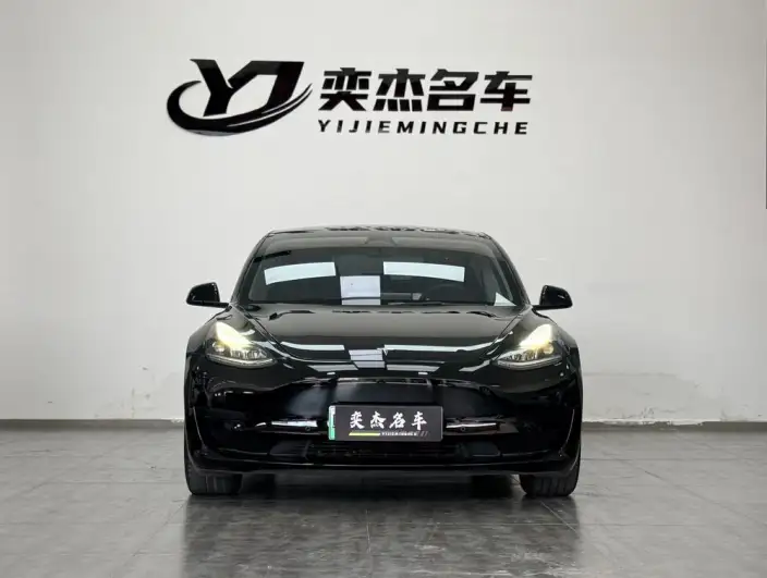 Model 3 2022 Model Rear-wheel drive version – фото 2