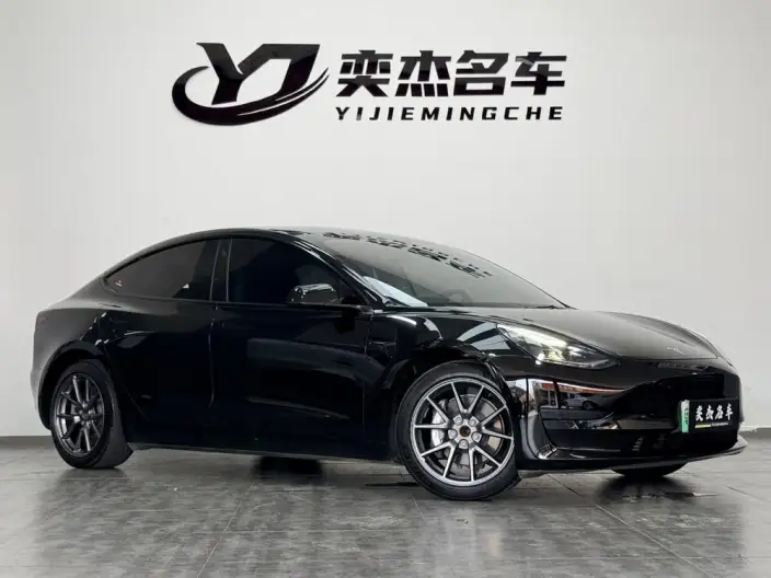 Model 3 2022 Model Rear-wheel drive version – фото 3