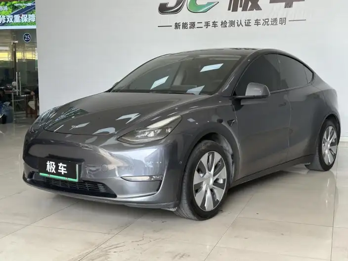 Model Y 2021 Model Standard Battery Life Rear-wheel drive version – фото 1