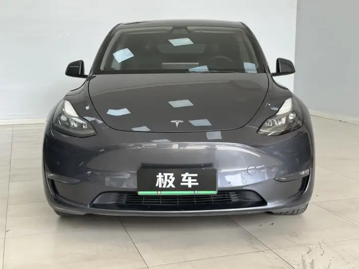 Model Y 2021 Model Standard Battery Life Rear-wheel drive version – фото 2