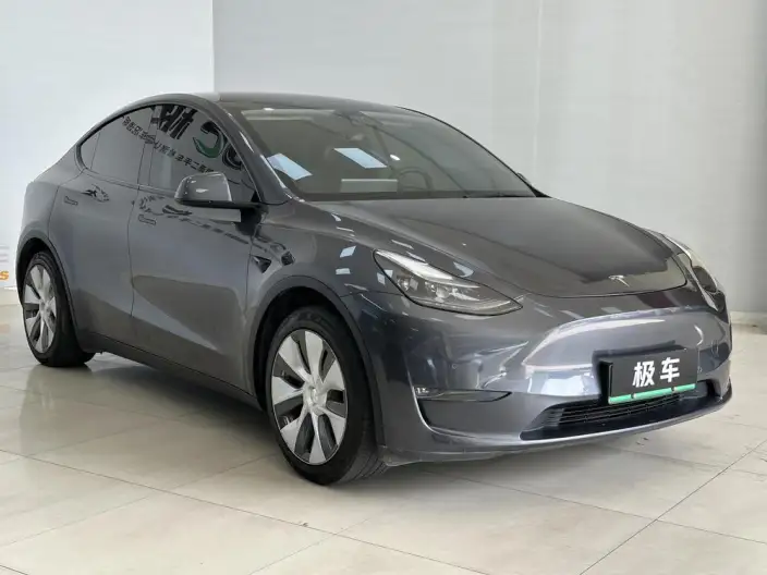 Model Y 2021 Model Standard Battery Life Rear-wheel drive version – фото 3