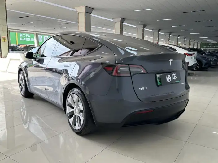 Model Y 2021 Model Standard Battery Life Rear-wheel drive version – фото 4