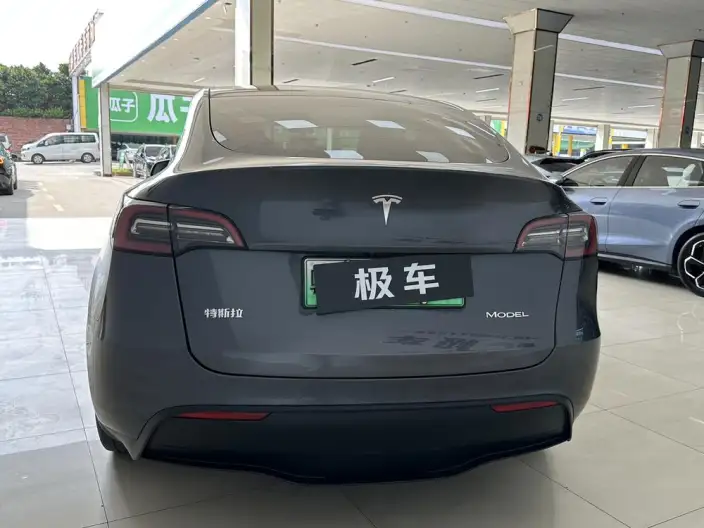 Model Y 2021 Model Standard Battery Life Rear-wheel drive version – фото 5