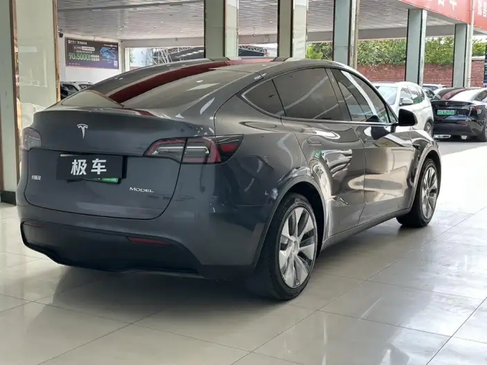 Model Y 2021 Model Standard Battery Life Rear-wheel drive version – фото 6