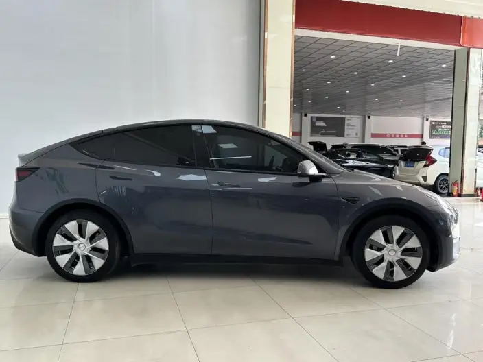 Model Y 2021 Model Standard Battery Life Rear-wheel drive version – фото 7