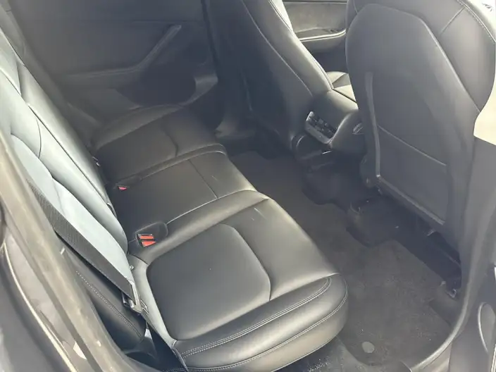 Model Y 2021 Model Standard Battery Life Rear-wheel drive version – фото 8