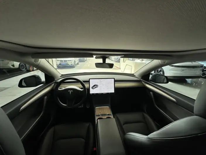 Model Y 2021 Model Standard Battery Life Rear-wheel drive version – фото 9