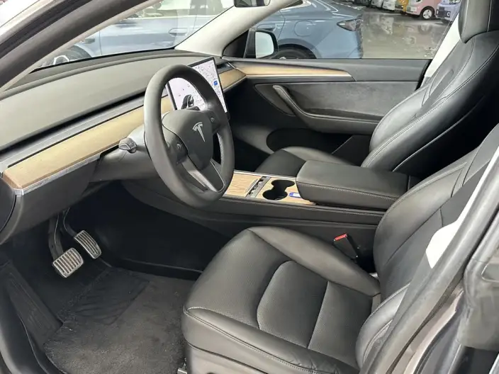 Model Y 2021 Model Standard Battery Life Rear-wheel drive version – фото 11