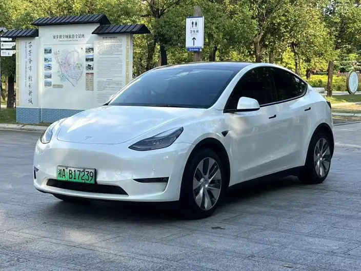 Model Y 2021 Model Standard Battery Life Rear-wheel drive version – фото 1