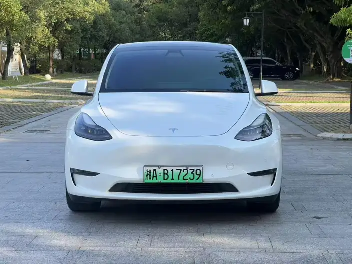 Model Y 2021 Model Standard Battery Life Rear-wheel drive version – фото 2