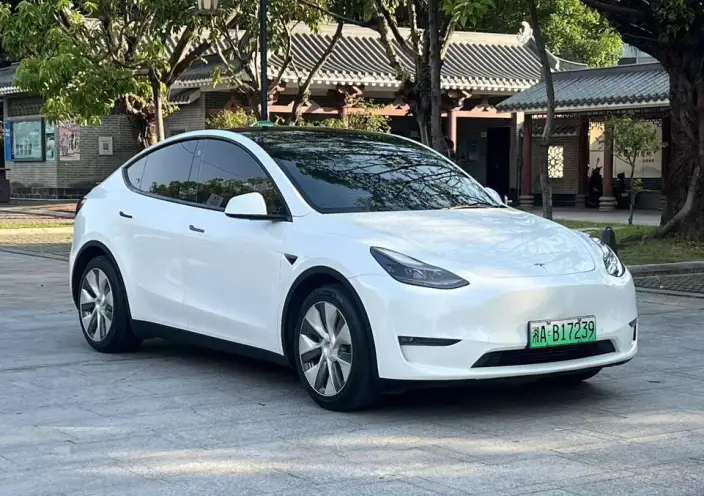 Model Y 2021 Model Standard Battery Life Rear-wheel drive version – фото 3