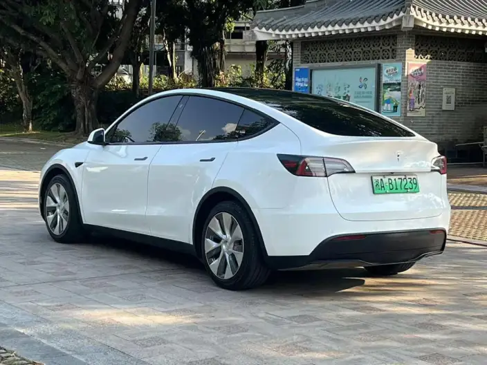 Model Y 2021 Model Standard Battery Life Rear-wheel drive version – фото 4