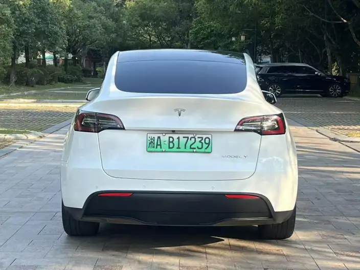 Model Y 2021 Model Standard Battery Life Rear-wheel drive version – фото 5