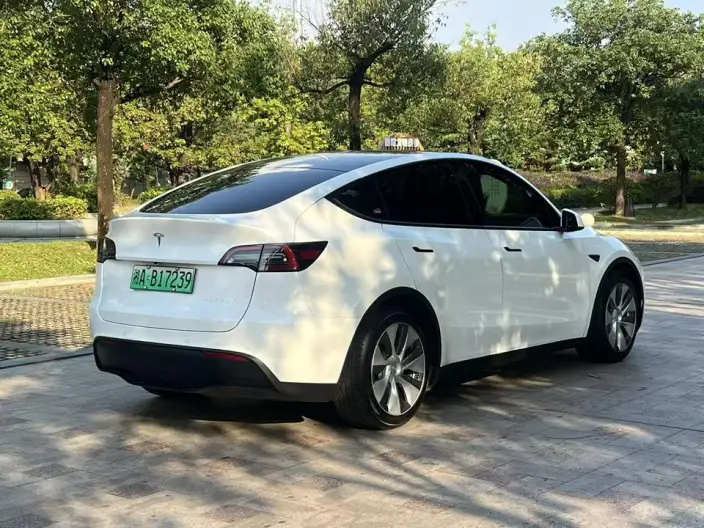 Model Y 2021 Model Standard Battery Life Rear-wheel drive version – фото 6