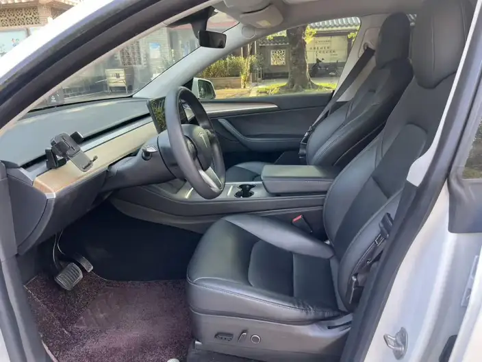 Model Y 2021 Model Standard Battery Life Rear-wheel drive version – фото 8