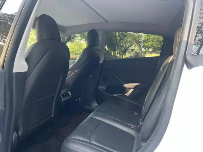 Model Y 2021 Model Standard Battery Life Rear-wheel drive version – фото 9