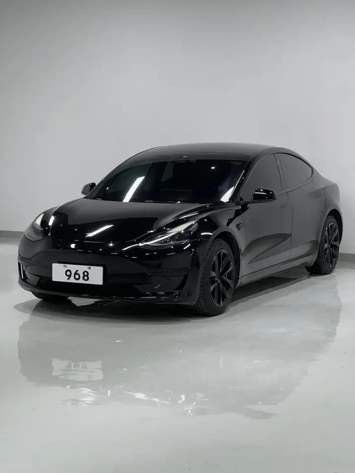 Model 3 2022 Model Rear-wheel drive version – фото 1