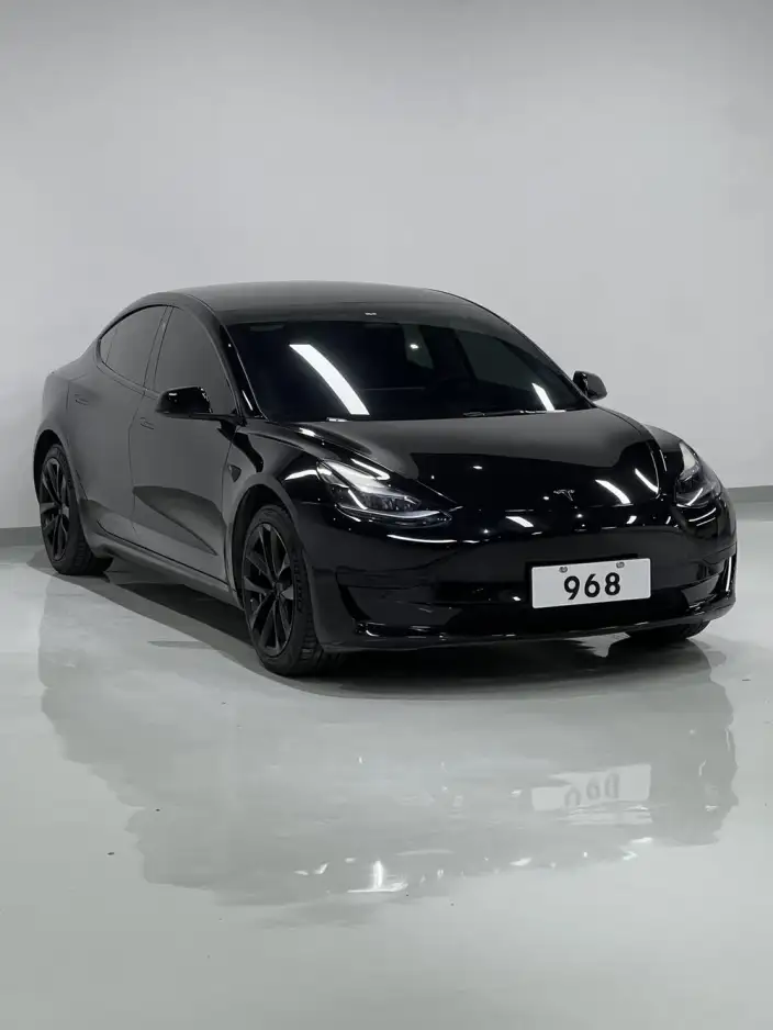 Model 3 2022 Model Rear-wheel drive version – фото 3