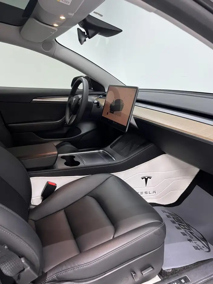 Model 3 2022 Model Rear-wheel drive version – фото 13